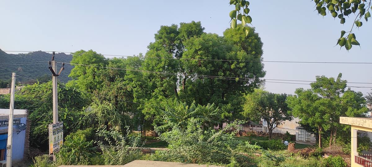 Village Centre